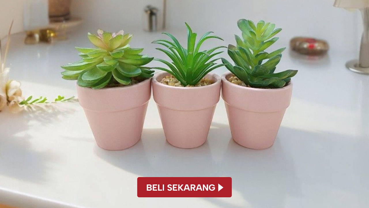 Tanaman Artifisial Sukulen - Dekorasi Ramadan - SELMA